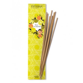 Encens Indiens ESTEBAN - Terre d'Agrumes