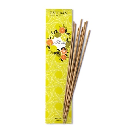 Encens Indiens ESTEBAN - Terre d'Agrumes