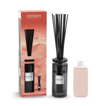 TERRE D'OCRE & KARITE Diffuseur Initial 100ml - ESTEBAN