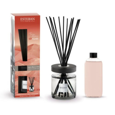 Bouquet Ellipse TERRE D'OCRE & KARITE 200ml - ESTEBAN
