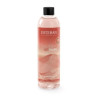 TERRE D'OCRE & KARITE Recharge 250ml - ESTEBAN