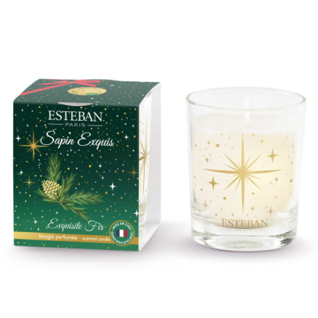 Mini bougie SAPIN EXQUIS 70g - ESTEBAN