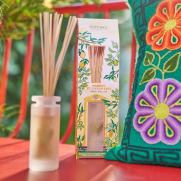 Bouquet Parfumé MANGUE & CITRON VERT 100ml - ESTEBAN