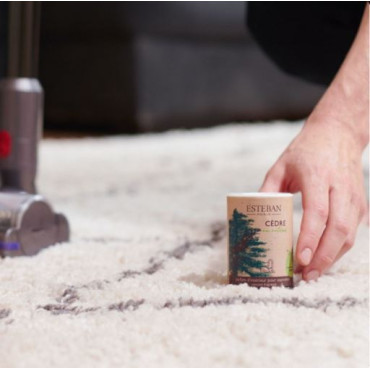 Poudre Parfumé CÈDRE pour Aspirateur - ESTEBAN