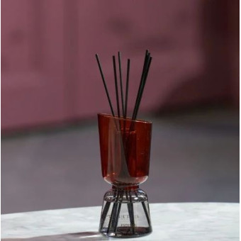 Bouquet Parfumé TECK & TONKA 250ml - ESTEBAN