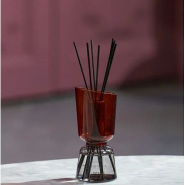 Bouquet Parfumé TECK & TONKA 250ml - ESTEBAN