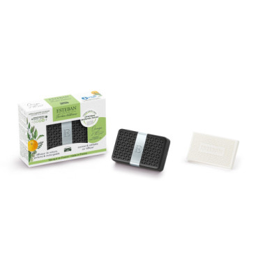 Diffuseur de Voiture Parfumé ORANGE & THÉ VERT - ESTEBAN