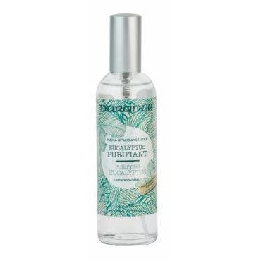 Vapo EUCALYPTUS PURIFIANT 100ml - DURANCE