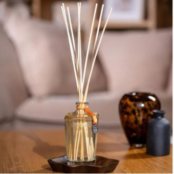 Grand Diffuseur AMBRE PRÉCIEUX 500ml - DURANCE