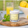 Bougie Parfumée Anti-Moustiques Citronnelle - DURANCE