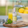 Vaporisateur d'Ambiance Anti-Moustiques Citronnelle - DURANCE