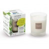 CITRONNELLE & MENTHE Bougie Rechargeable - ESTEBAN