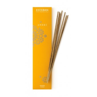 Encens Indiens ESTEBAN - Ambre