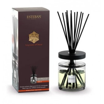 Bouquet Parfumé ELLIPSE 500ml LEGENDE d'ORIENT - ESTEBAN